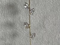 GRACIE - EAR PIN 18K GOLD PLATED